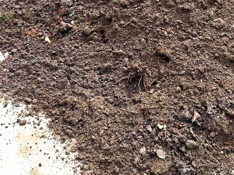 Foto von Erdaushub aus Gartenprojekten, Hausbau, Swimmingpool- oder Sandkastenbau