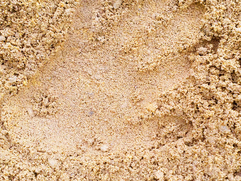 Foto von Sandkastensand oder Spielsand für Spielplätze und privaten Sandkasten